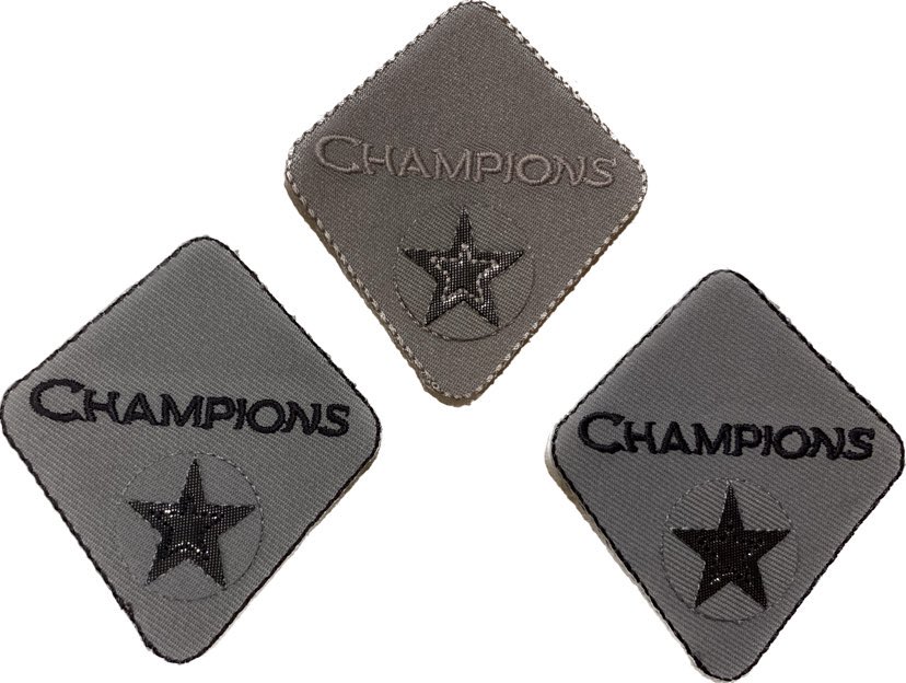Aplikacijos "CHAMPIONS" ~ 6,0 cm x 7,0 cm