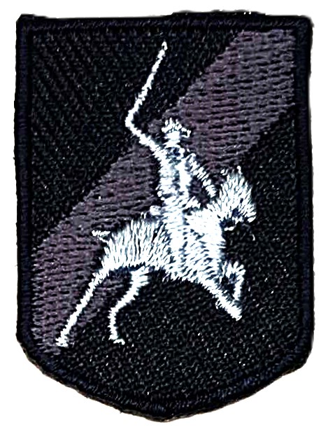 Aplikacija " Polo 2" ~ 2,5 cm x 3,5 cm