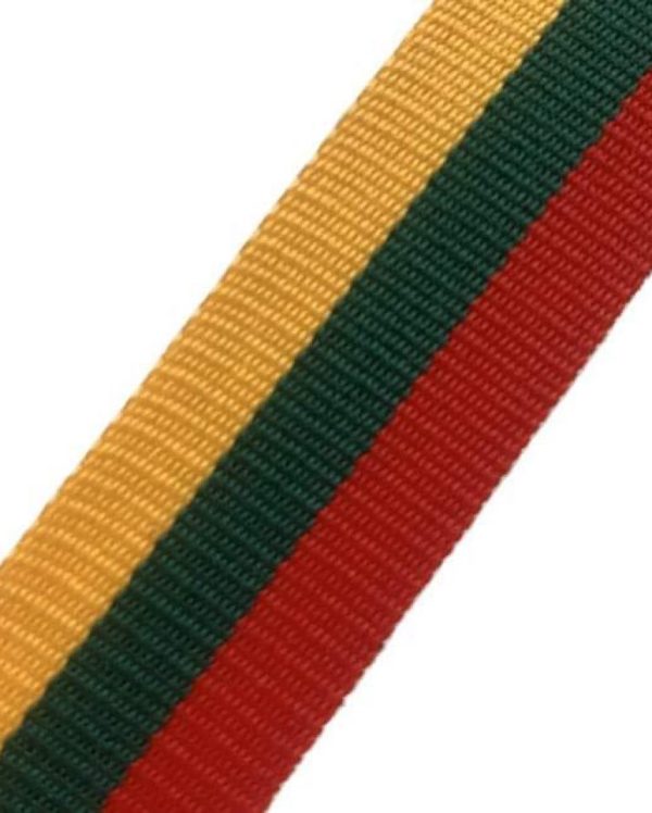 Austa trispalvė juostelė 2,5 cm