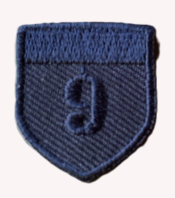 Aplikacija ~ 2,5 cm x 3,0 cm