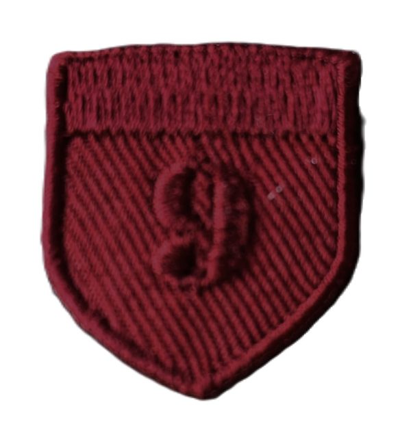 Aplikacija ~ 2,5 cm x 3,0 cm