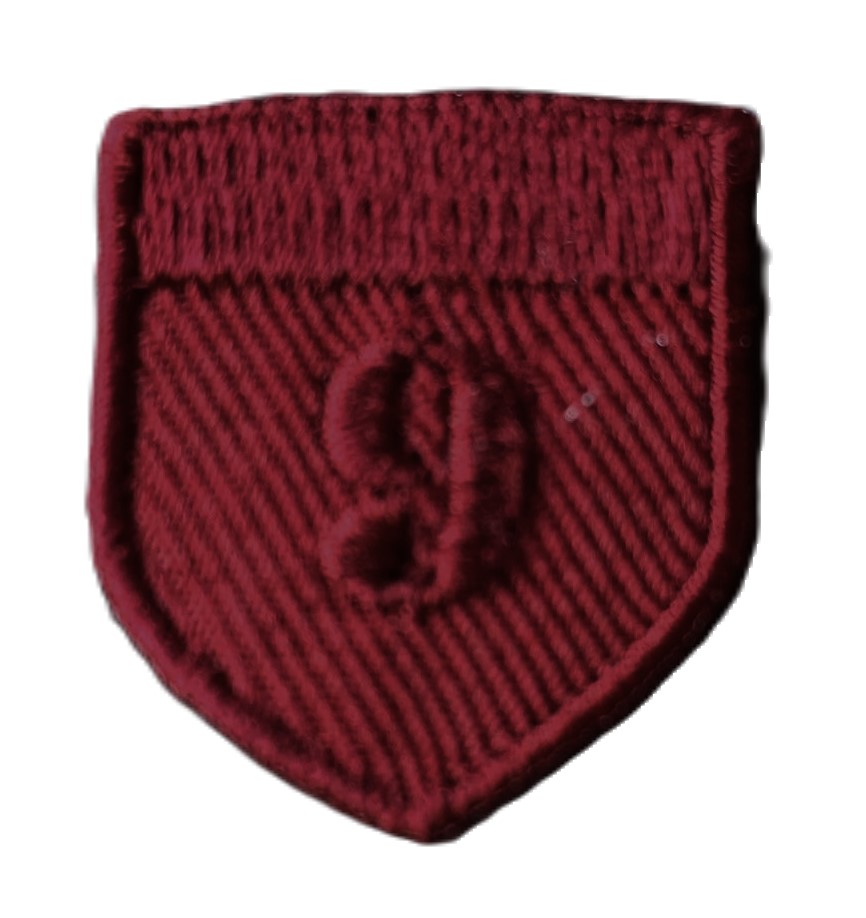 Aplikacija ~ 2,5 cm x 3,0 cm